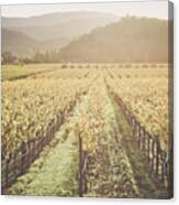 Napa Valley California Vineyard #17 Canvas Print