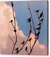 19 Blackbirds Canvas Print