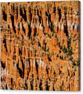 Bryce Canyon Utah #19 Canvas Print