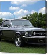 1967 Mustang Fast Back Canvas Print