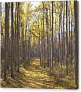 1m3910-v Path In Forest Canvas Print