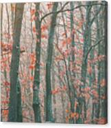 Autumn Forest #2 Canvas Print