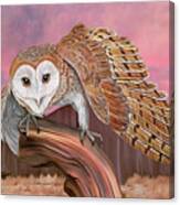 Barn Owl #2 Canvas Print