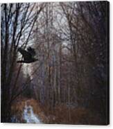 Black Bird Flying By In Forest #2 Canvas Print