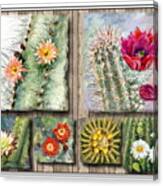Cactus Collage #2 Canvas Print