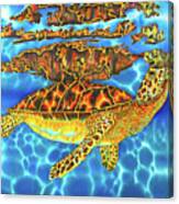 Caribbean Sea Turtle #1 Canvas Print