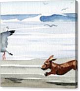 Dachshund At The Beach  #7 Canvas Print