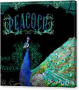Elegant Peacock W Vintage Scrolls  #1 Canvas Print