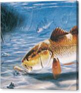 Fish #2 Canvas Print