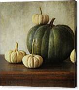 Green Pumpkin And Gourds On Table  #2 Canvas Print