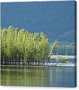 Kootenay Lake, British Columbia. #3 Canvas Print