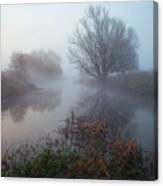Misty River Nene #2 Canvas Print