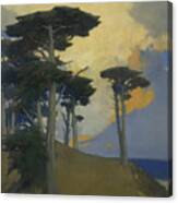 Monterey Cypress #2 Canvas Print