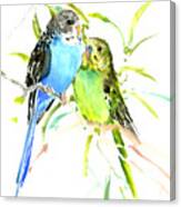 Parakeets #2 Canvas Print