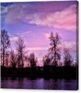 Pink Dawn #2 Canvas Print