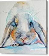 Rabbit #1 Canvas Print