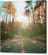 Road In Fall #2 Canvas Print