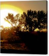 Sunset At Bosque Del Apache  #2 Canvas Print