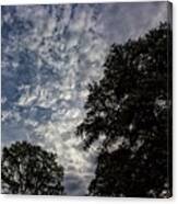 Sunset Clouds And Trees  #2 Canvas Print