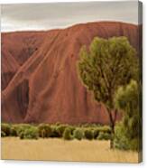 Uluru 08 Canvas Print