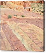 Valley Of Fire Rainbow #2 Canvas Print
