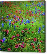 Wildflowers In Bloom #4 Canvas Print
