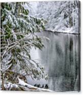 Winter Along Cranberry River #20 Canvas Print