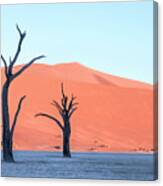Sossusvlei - Namibia #23 Canvas Print