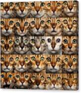 25 Different Bengal Cat Faces Canvas Print