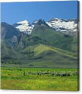 2d11110 The Ruby Mountains Canvas Print