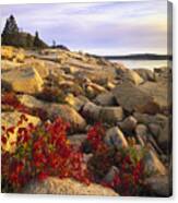 Atlantic Coast Near Thunder Hole Acadia #3 Canvas Print