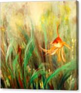 Gold Fish #3 Canvas Print