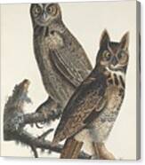 Great Horned Owl #3 Canvas Print