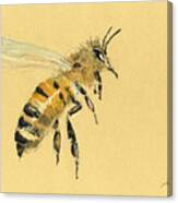 Honey Bee Watercolor Painting #3 Canvas Print