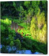 3 Horses Grazing On The Bank Of The Verde River Canvas Print