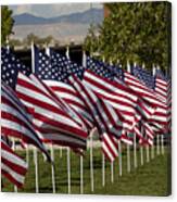 Patriotic Flag Display #3 Canvas Print