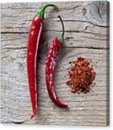 Red Chili Pepper #3 Canvas Print