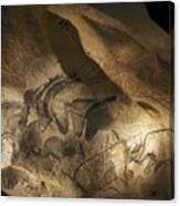 Stone-age Cave Paintings, Chauvet, France Canvas Print