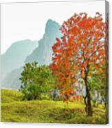 The Colorful Autumn Scenery #3 Canvas Print