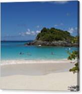 Trunk Bay #3 Canvas Print