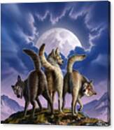 3 Wolves Mooning Canvas Print