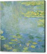 Waterlilies Canvas Print