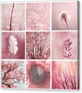 3x3 Pink Canvas Print