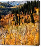 Autumn In The Wasatch Mountains #4 Canvas Print