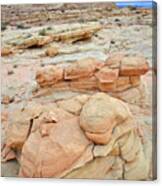 Multicolored Cropping In Valley Of Fire #4 Canvas Print