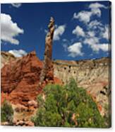 Red Rock #4 Canvas Print