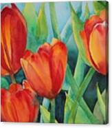 4 Red Tulips Canvas Print