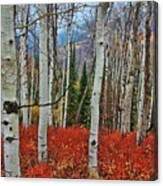 Rocky Mountain Fall #4 Canvas Print