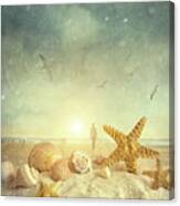 Starfish And Seashells  At The Beach #4 Canvas Print