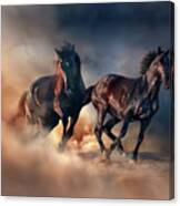 Two Horses #4 Canvas Print